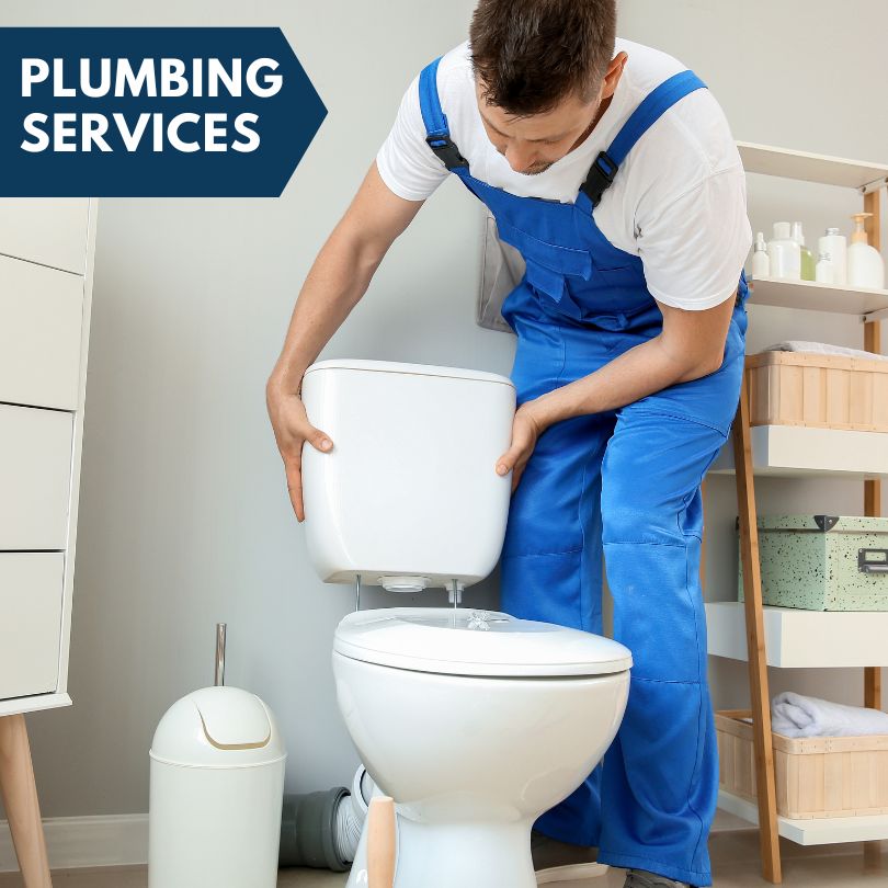 Plumbing Company in La Rose, IL